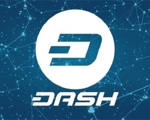 dash-500