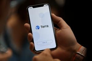 Terra-Payment-System-Mockup-750x500