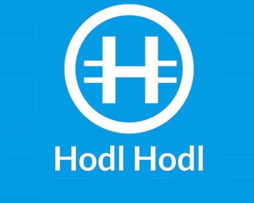hodlhodl-500