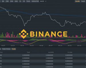 binance-no-ipo