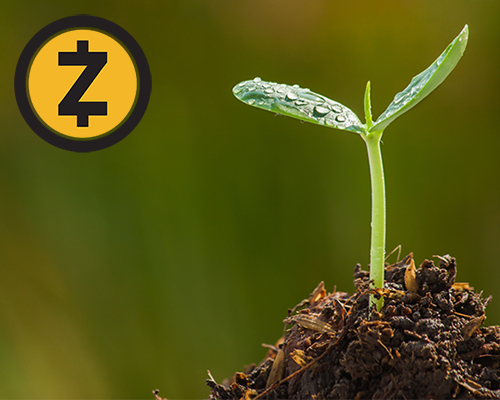 zcash-sapling-500