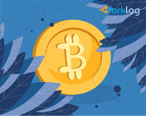 Bitcoin and some leaves