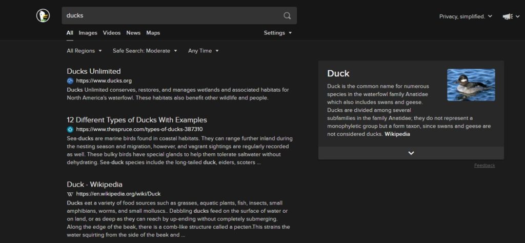 DuckDuckGo search results page