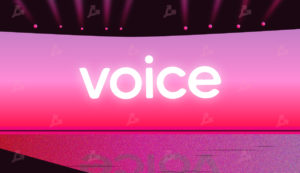 voice_main