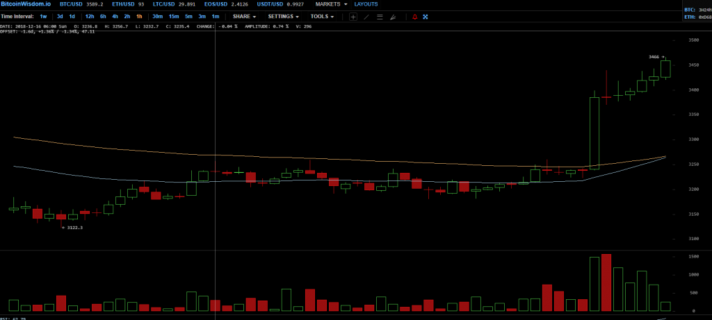 Дно позади или прыжок дохлой кошки? Цена биткоина выросла на 6% за несколько часов