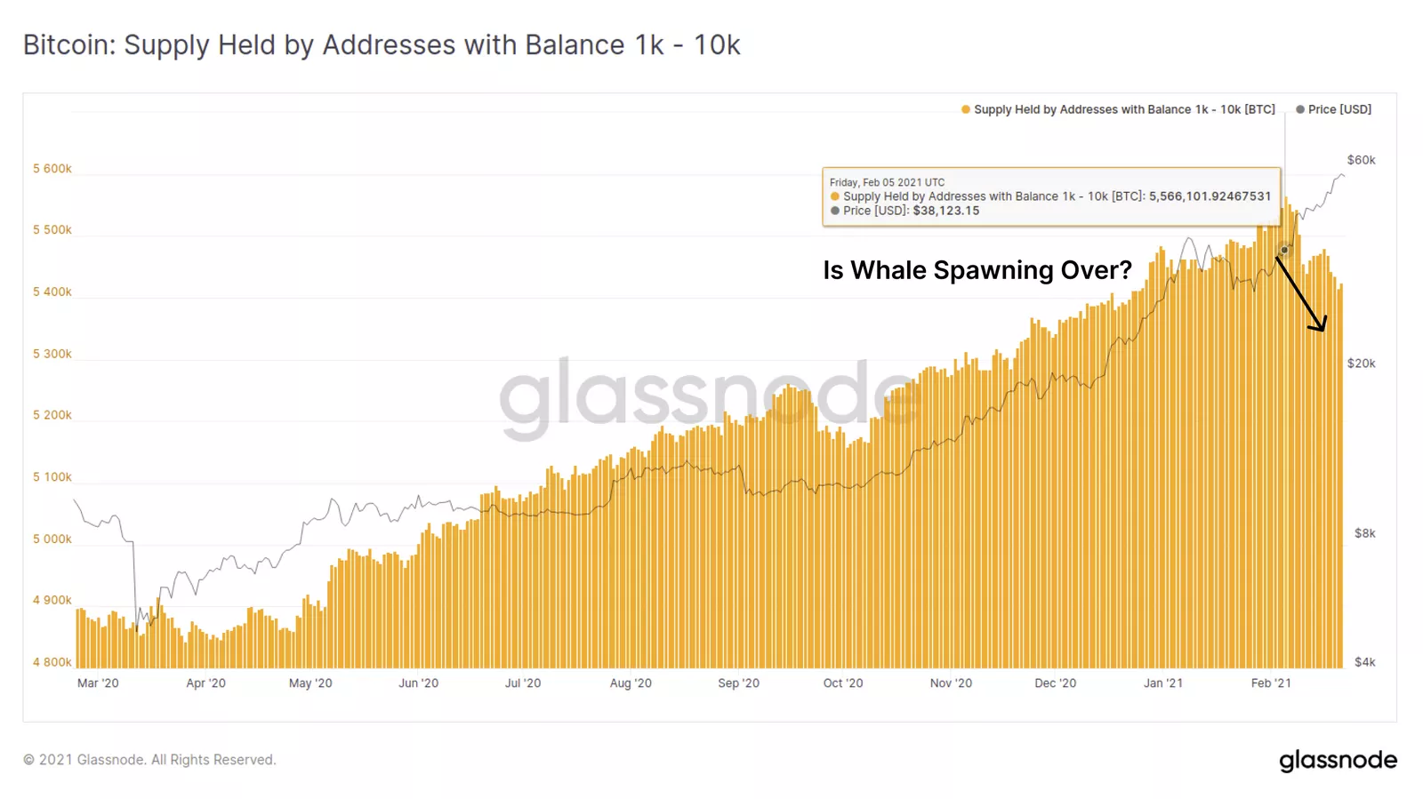 Glassnode: в феврале киты сократили активы на 140 000 BTC