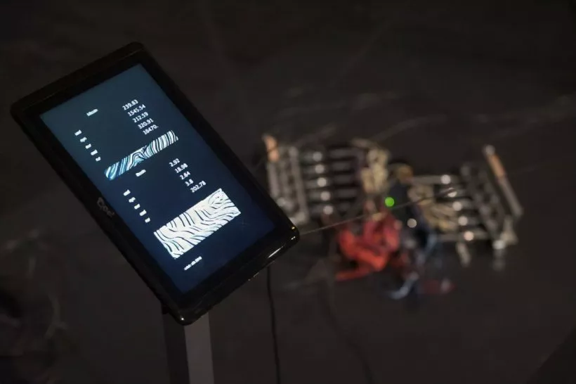 «Бешеные деньги»: российские художники переосмыслили майнинг и трейдинг в своих инсталляциях