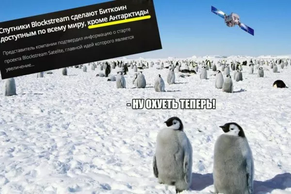 Главное не майнить в бассейне: лучшие шутки от криптосообщества за неделю