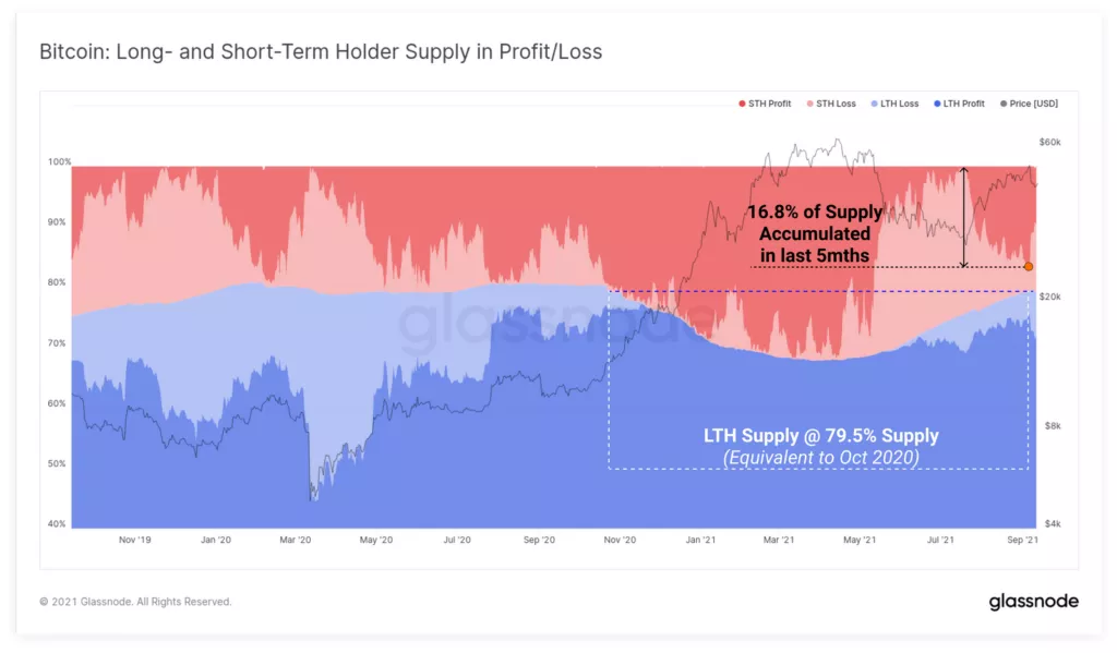 Glassnode: недавний обвал биткоина не повлиял на настрой долгосрочных инвесторов