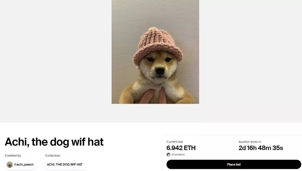 Achi-the-dog-wif-hat-Foundation-Google-Chrome