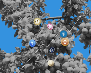 Альтсезон 2025 altcoin season Altseason