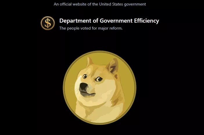 DOGE-Department-of-Government-Efficiency-Google-Chrome