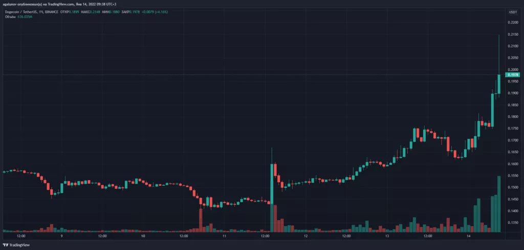 Илон Маск сообщил о старте продаж мерча от Tesla за Dogecoin