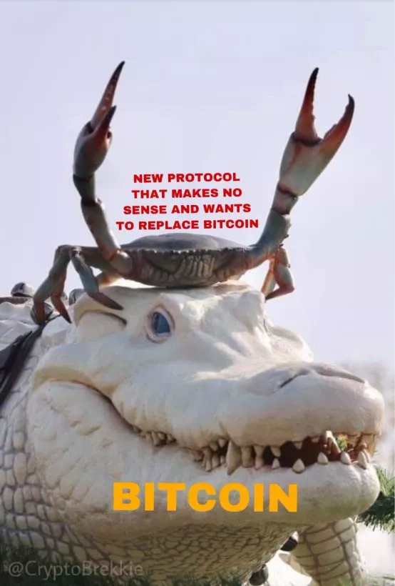 Правила выживания: плачущий трейдер как источник воды