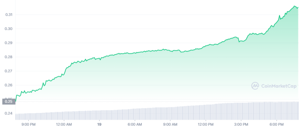 Цена EVER выросла почти на 30% за сутки