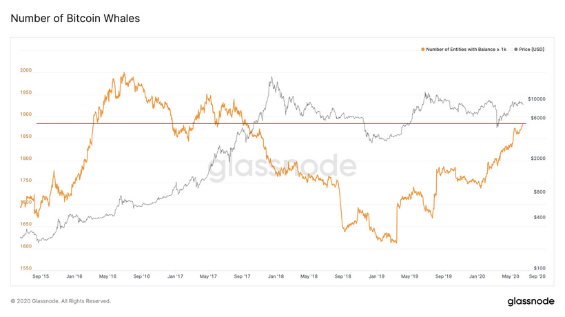 Glassnode: число биткоин-китов достигло уровня ралли 2017 года