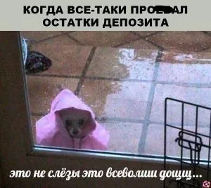 Эра альтов или последний визг хомяков? Мем-обзор недели