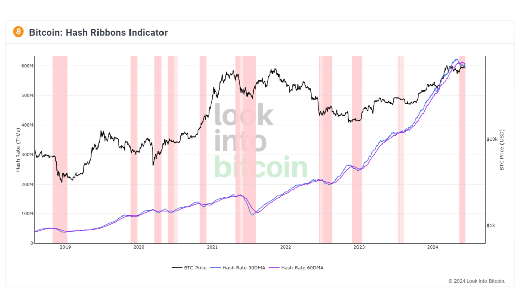 Look-Into-Bitcoin-Hash-Ribbons-Indicator