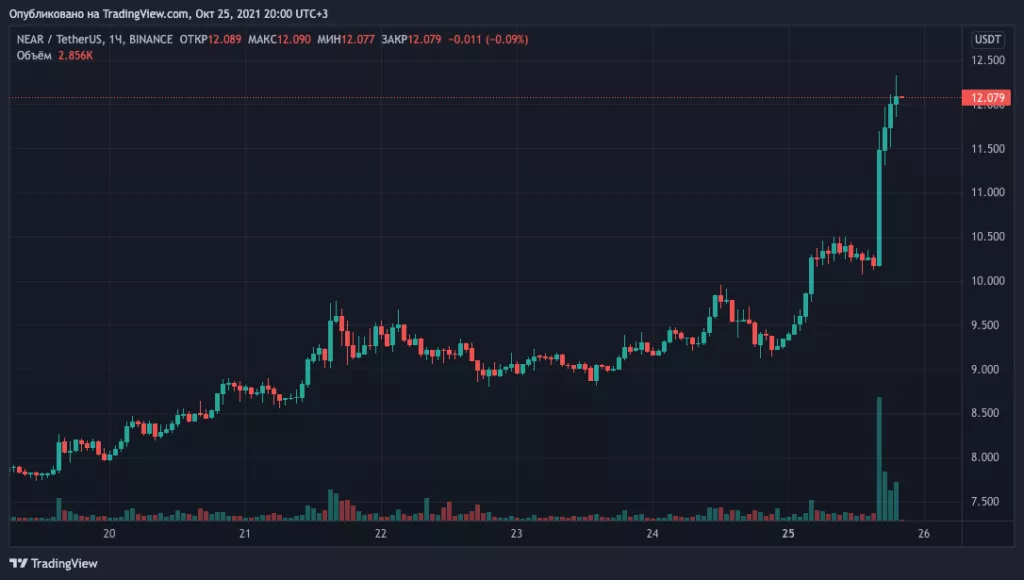 NEAR Protocol учредил фонд на $800 млн для развития экосистемы