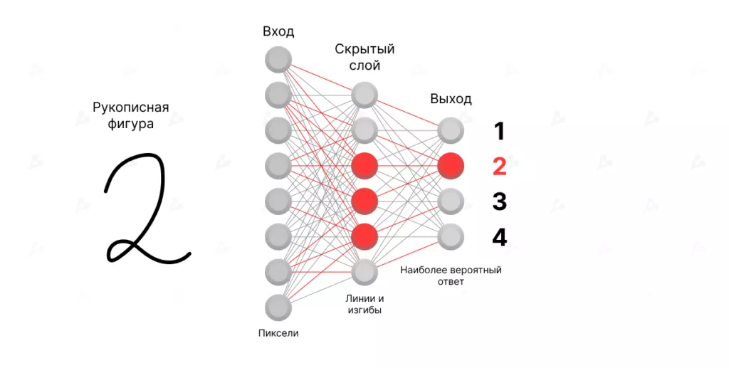 Что такое нейронная сеть?