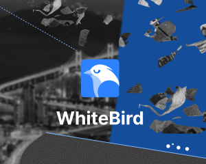 Обзор WhiteBird