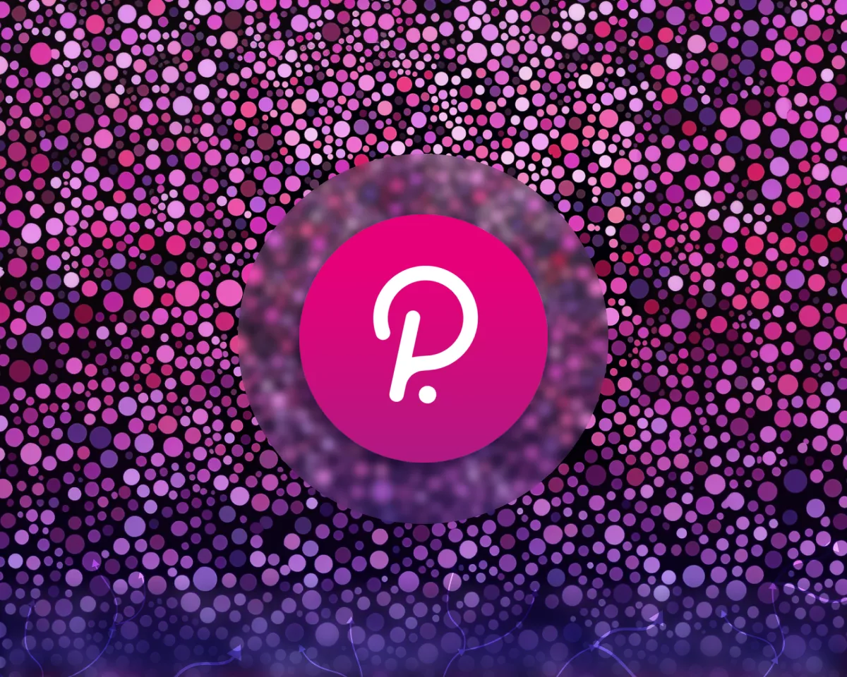 Polkadot 2025