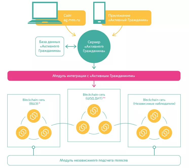 Московский портал «Активный гражданин» начал работу на блокчейне