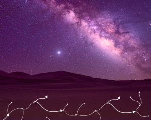 SpaceX-Space-kosmos-vselennaya-kriptovalyuty-2-1