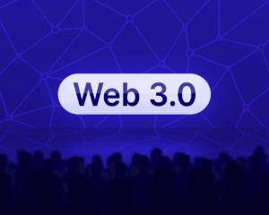 W3.0-min