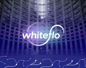 WhiteFlo_-_статья_о_выходе_на_рынок_криптопроцессинга_в_2024
