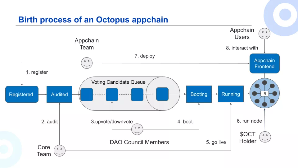 Процесс создания аппчейна в блокчейне Octopus Network