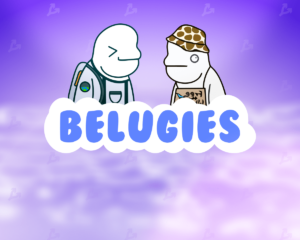 belugies-min