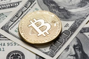 bitcoin-cash