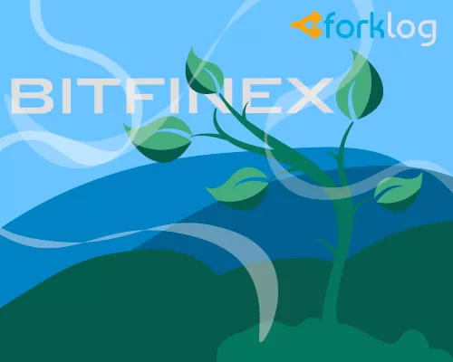 bitfinex2_500