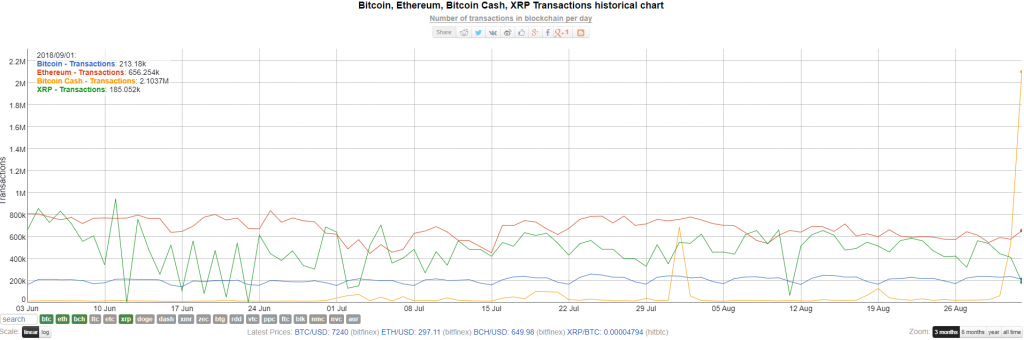 bitinfo-1024x340.png