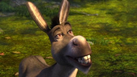 Shrek's donkey