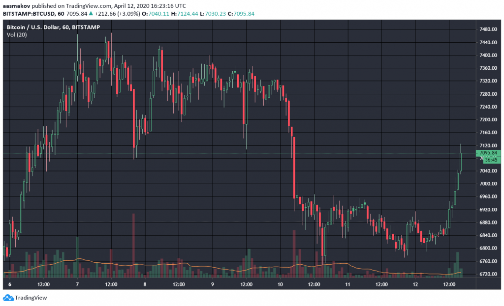 Халвинги Bitcoin Cash и Bitcoin SV, взлом Bisq и другие события недели в биткоин-индустрии