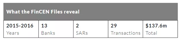 Основательница OneCoin Руджи Игнатова стала фигурантом досье FinCEN