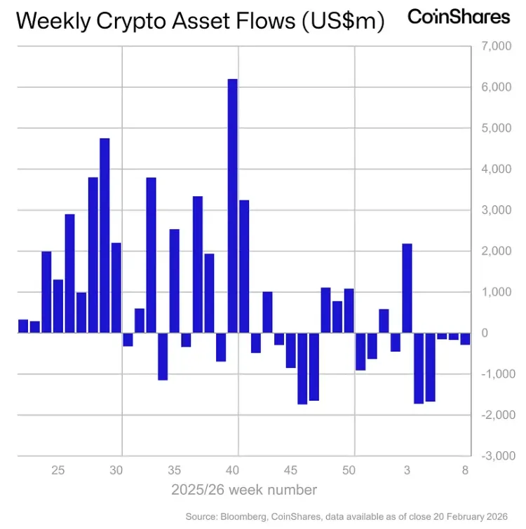 Снимок экрана 2026-02-23 162539