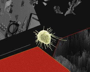 img-79351ed2ee371073-6500369610837067