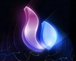 img-b2add8ba3e2a8d71-5098965473739595