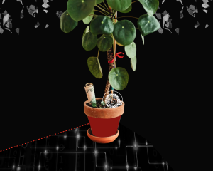 img-b34b5ec605d119f5-6322993906494935