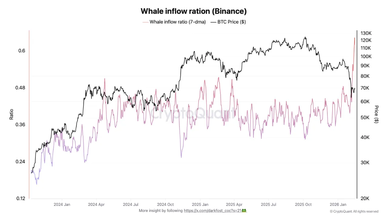 Whale_inflow_binance