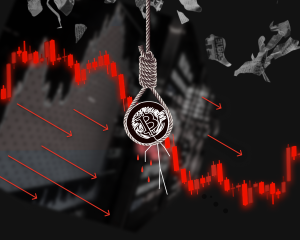 img-d0ec48a8d390bf4a-7598005552236011