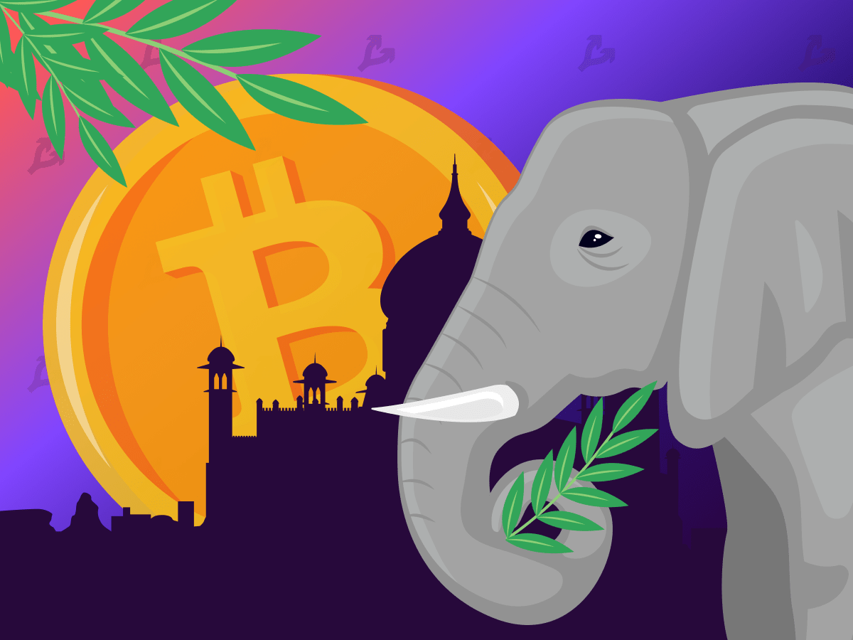 Биткоин-биржа CoinDCX анонсировала планы по выходу на IPO India-1