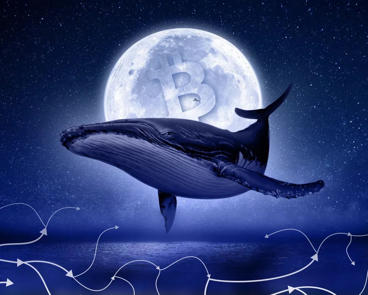 Аналитик оценил поведение китов в биткоине и Ethereum