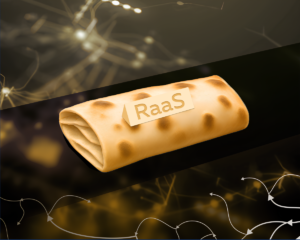 криптолаваш RaaS