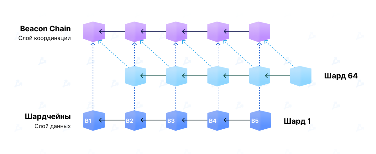 Проект the merge