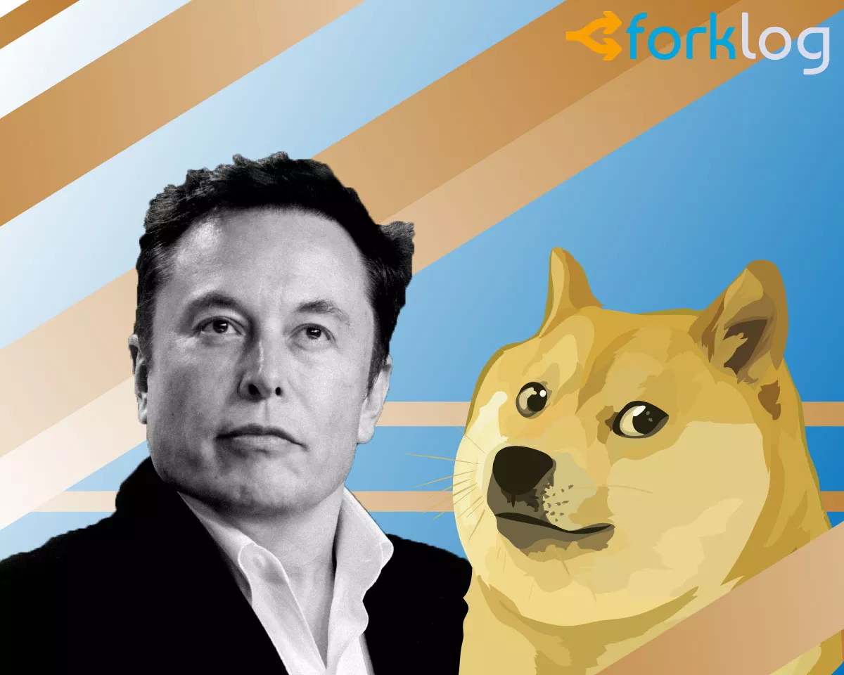 musk_doge_cover