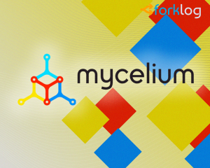 mycelium_cover (2)